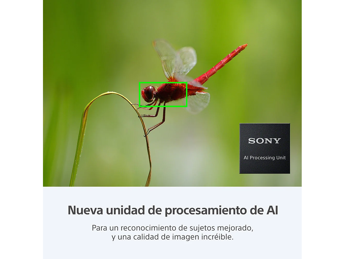 CAMARA HIGH RES FULL FRAME ILCE-7RM5 9