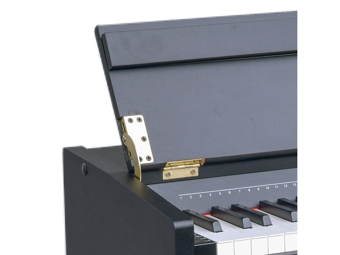 PIANO ZIMMER DIGITAL ZIM-2000-BLK 3