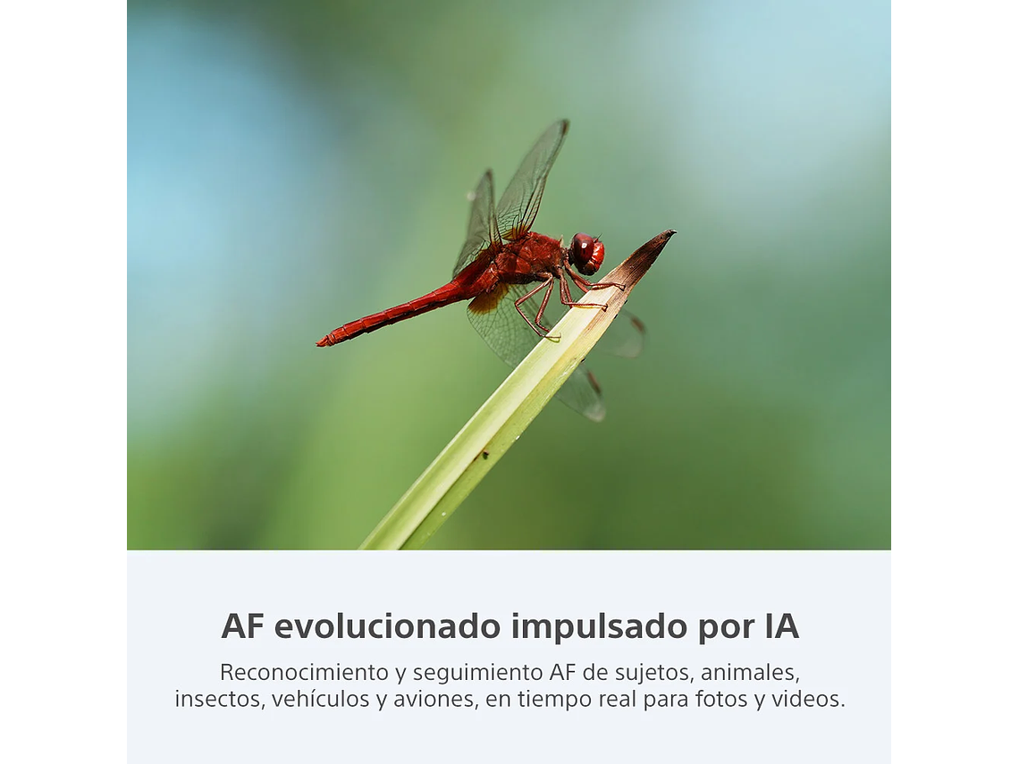 CÁMARA PROFESIONAL COMPACTA FULL FRAME MIRRORLESS ILCE-7CR 7