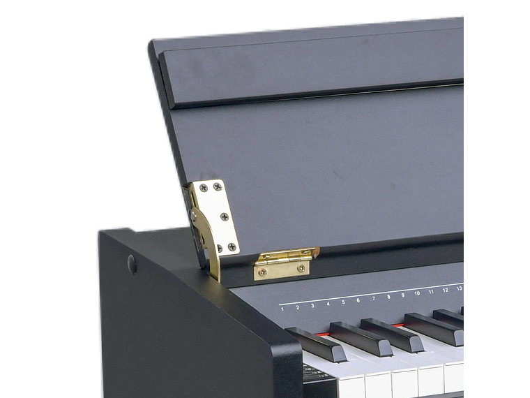 PIANO ZIMMER DIGITAL ZIM-2100-WDN 3