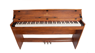 PIANO DIGITAL ZIMMER ZIM-900-NT
