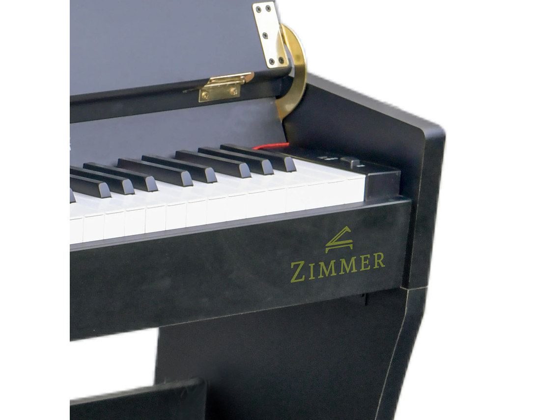 PIANO ZIMMER DIGITAL ZIM-2100-WDN 4