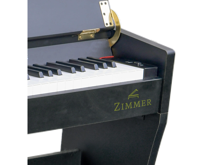 PIANO ZIMMER DIGITAL ZIM-2100-WDN 4