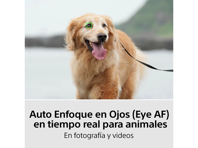 CAMARA FULL FRAME ILCE-7M4 8