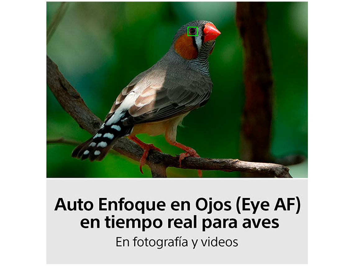 CAMARA HÍBRIDA SONY ILCE-7M4K FULL-FRAME ALPHA 7 IV 6