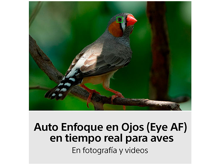 CAMARA HÍBRIDA SONY ILCE-7M4K FULL-FRAME ALPHA 7 IV 6