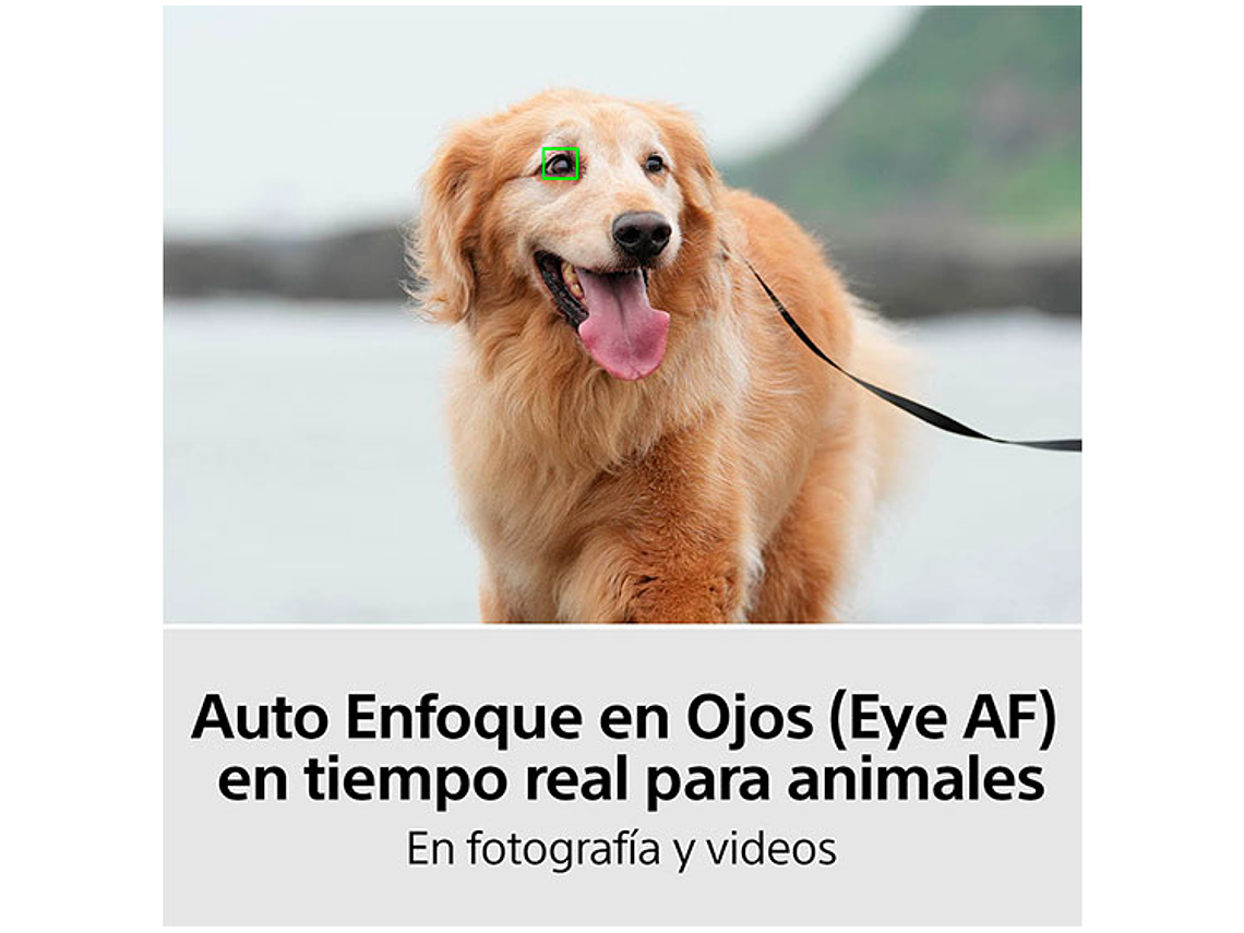 CAMARA HÍBRIDA SONY ILCE-7M4K FULL-FRAME ALPHA 7 IV 7