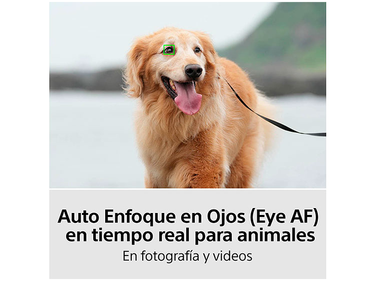 CAMARA HÍBRIDA SONY ILCE-7M4K FULL-FRAME ALPHA 7 IV 7