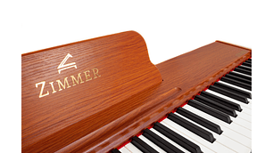PIANO ZIMMER DIGITAL PORTABLE ZIM-800-NT