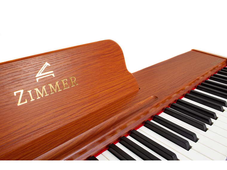 PIANO ZIMMER DIGITAL PORTABLE ZIM-800-NT 2