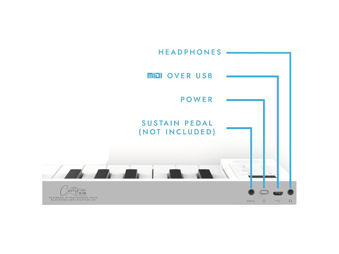 TECLADO PLEGABLE CARRY ON DONNER FP49, MADE IN MÉXICO 2