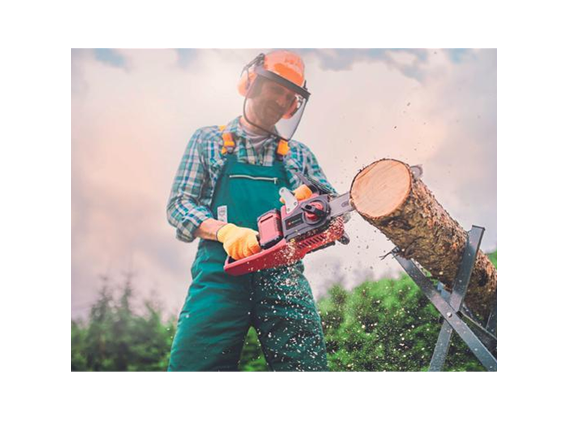 MOTOSIERRA EINHELL 4501780-1144 36 V 350 MM BATERIA + CARGADOR 3