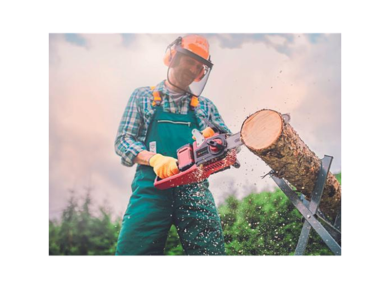 MOTOSIERRA EINHELL 4501780-1144 36 V 350 MM BATERIA + CARGADOR 3