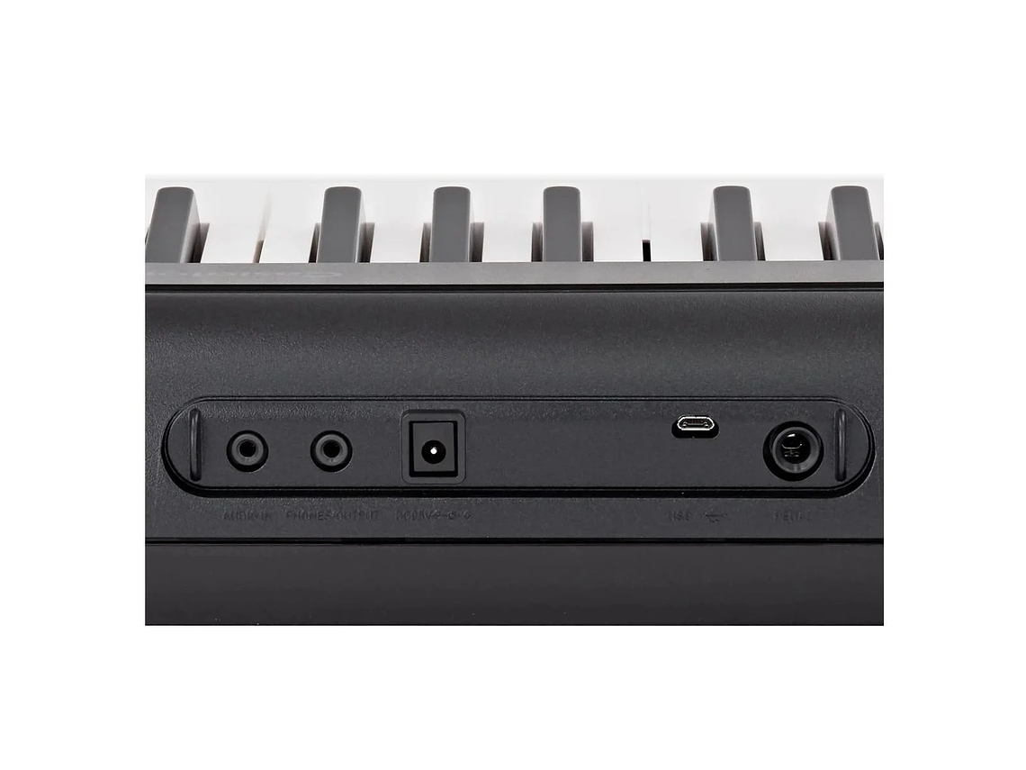 TECLADO CASIO CON FUENTE PODER CT-S195C2 5