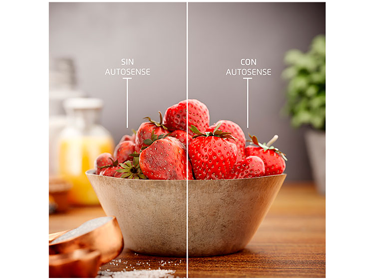 REFRIGERADOR FENSA BOTTOM FREEZER NO FROST 355 L TWIN RTI4S 10