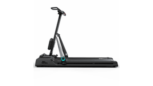 TROTADORA BOGADORA S-ABSOLUTE TEN SERIES