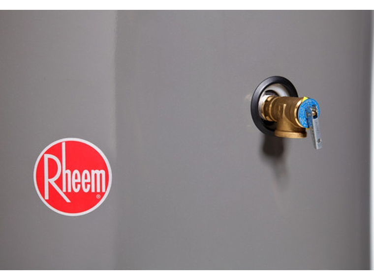 TERMO A GAS LICUADO RHEEM 190 LITROS 3