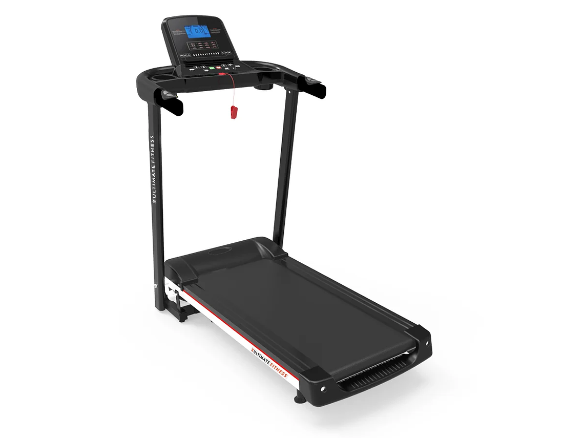 TROTADORA ELÉCTRICA E300 PRO 1