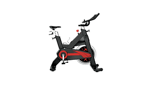 BICICLETA SPINNING ELITE RACING 1009H 22 KG WHEEL