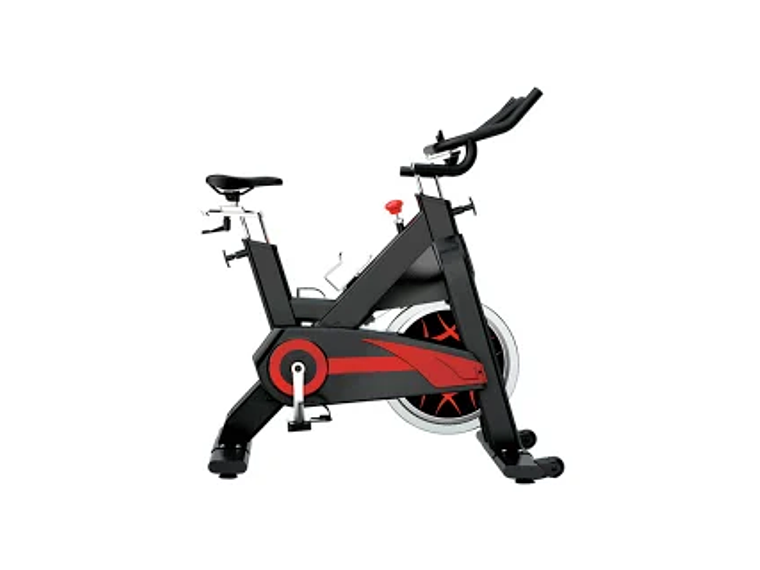 BICICLETA SPINNING ELITE RACING 1009H 22 KG WHEEL 1