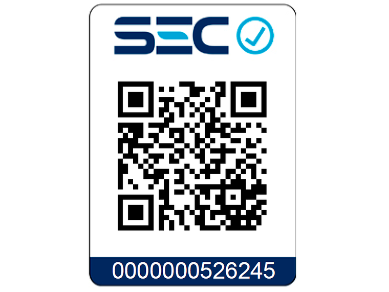 CAMPANA DE PARED ELITE 60 CM 500 M3/H FDV 6