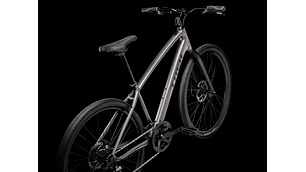 Bicicleta Urbana Trek Dual Sport 1 Gen 5 Gris