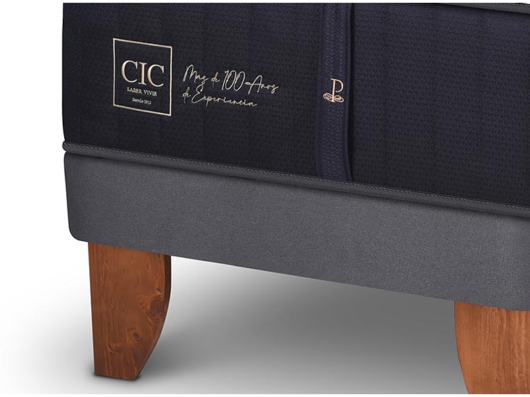 CAMA EUROPEA CIC PREMIUM SUPER KING + SET TAMESIS 4