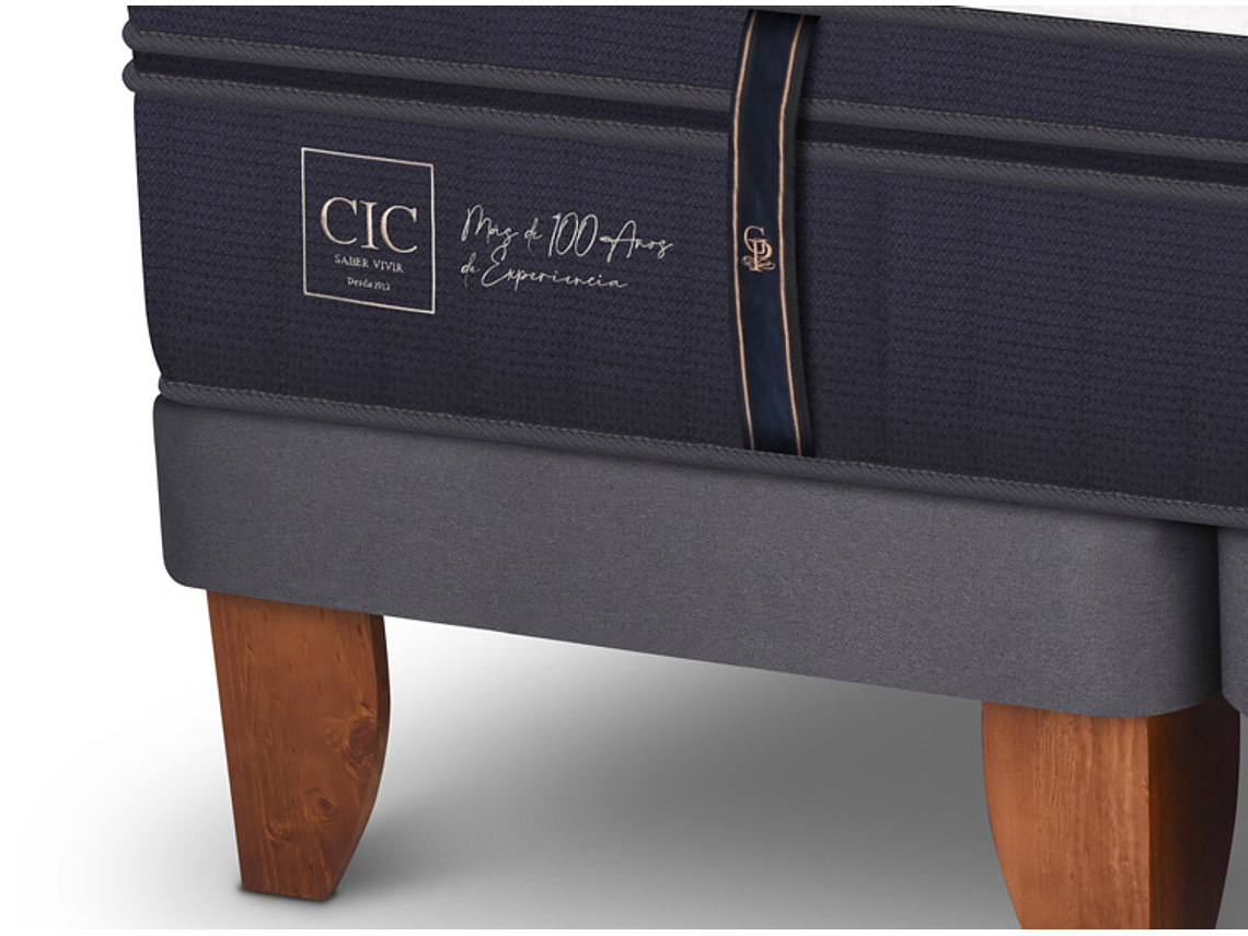 JUEGO DE DORMITORIO CIC CAMA EUROPEA GRAND PREMIUM KING + SET KAVERY 3