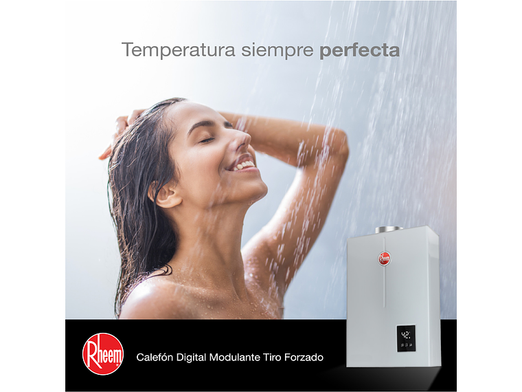 CALEFONT 21 LITROS GAS NATURAL TIRO FORZADO RHEEM 6