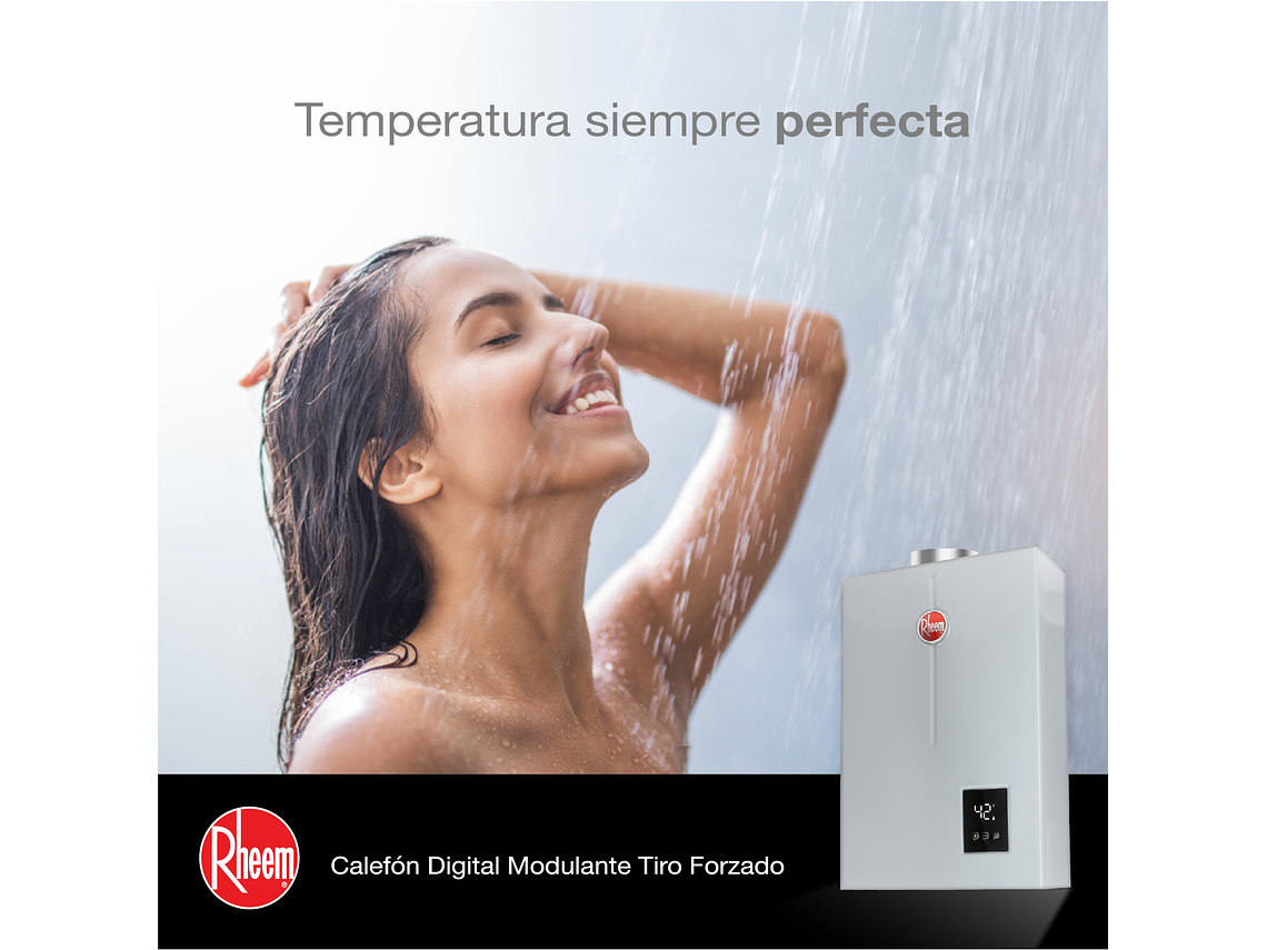CALEFONT 18 LITROS GAS LICUADO TIRO FORZADO RHEEM 6