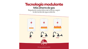 CALEFON RHEEM TIRO FORZADO 14L GN