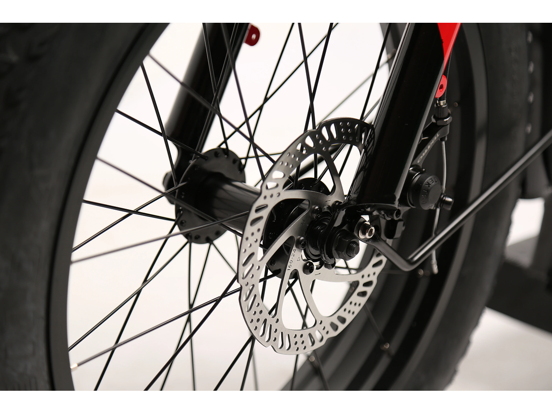 SCOOTER EWAY FAT LAND RAMBLER 8