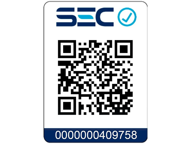 GENERADOR INVERTER A GASOLINA WATSON 800W 3