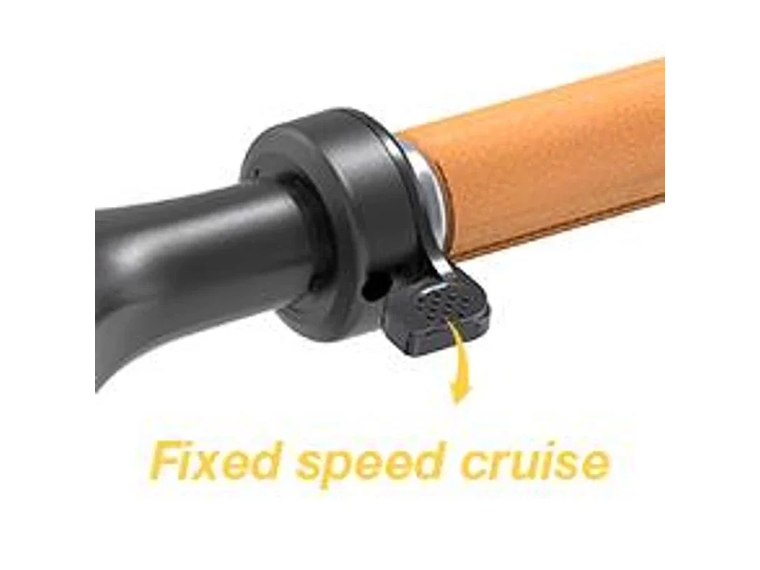 SCOOTER ELÉCTRICO TOMOLOO L1 PLUS 5