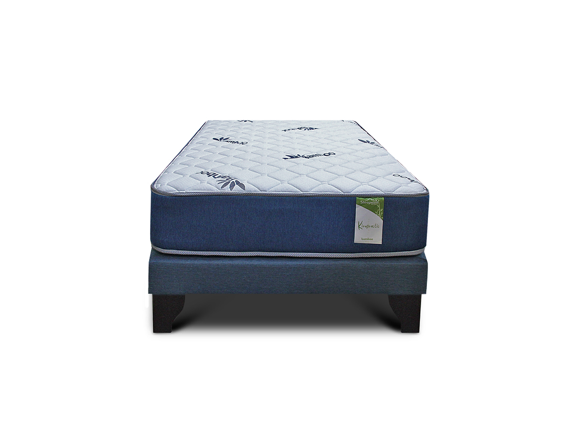 CAMA EUROPEA KIROPRACTIC 1 PLAZA BOX 1