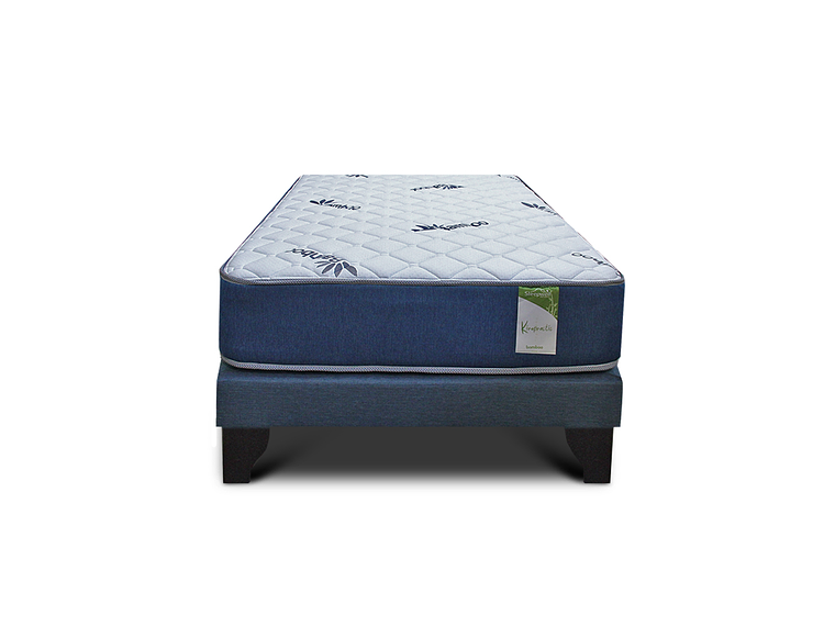CAMA EUROPEA KIROPRACTIC 1 PLAZA BOX 1