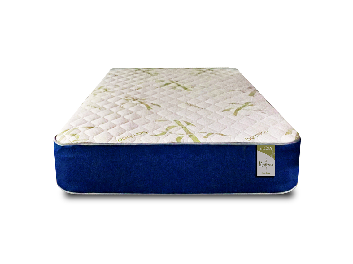 CAMA EUROPEA KIROPRACTIC 1 PLAZA BOX 4