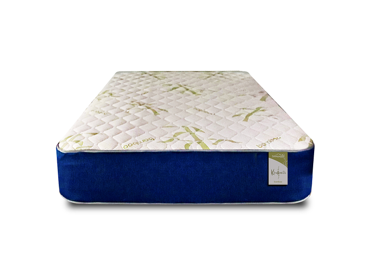 CAMA EUROPEA KIROPRACTIC 1 PLAZA BOX 4