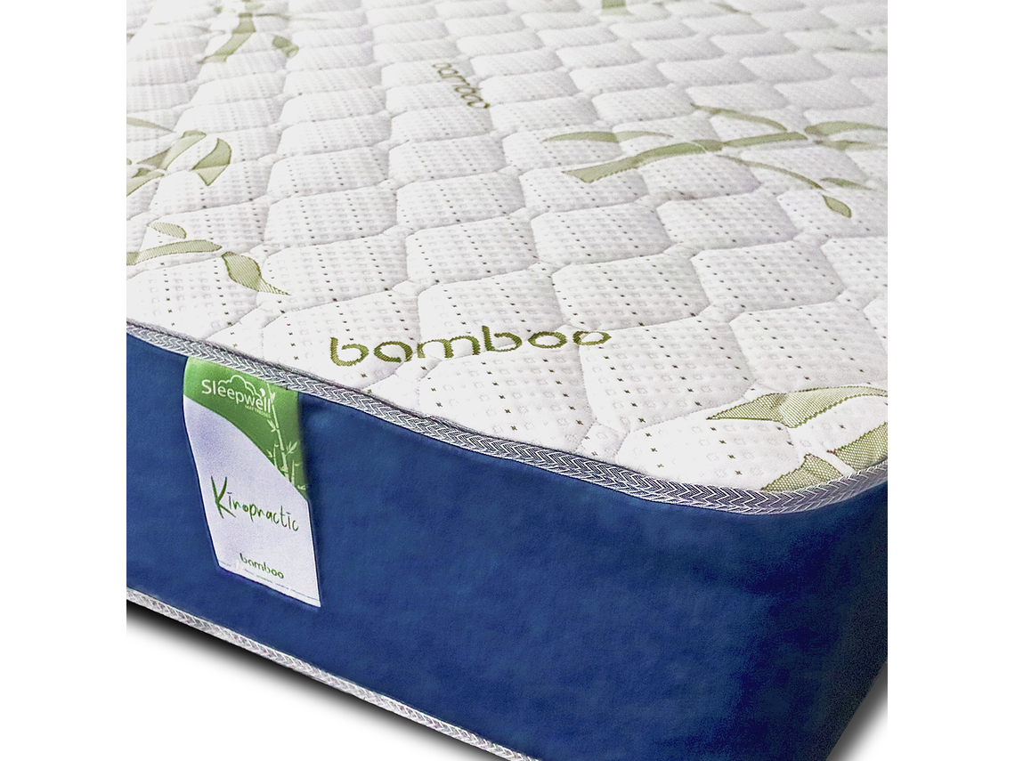 CAMA EUROPEA KIROPRACTIC 1 PLAZA BOX 5