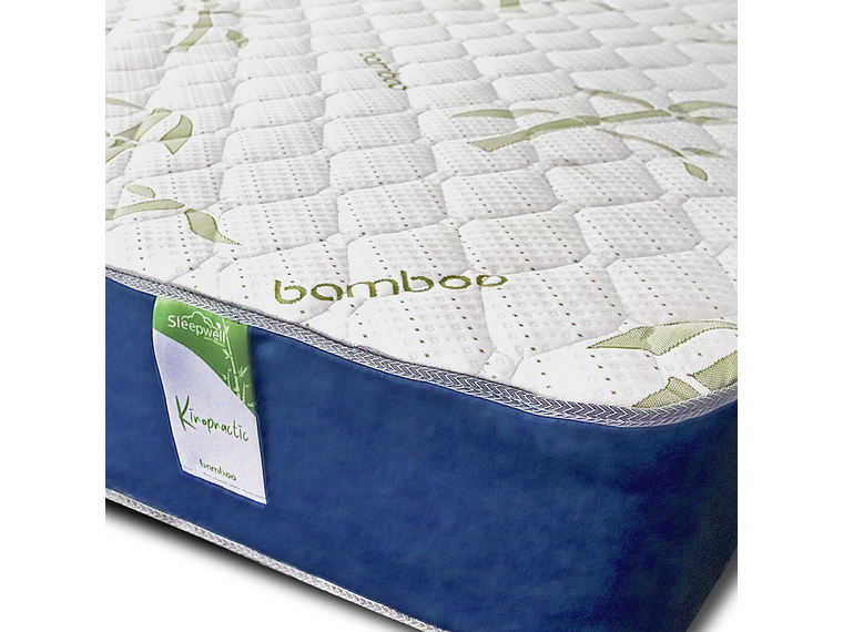 CAMA EUROPEA KIROPRACTIC 1 PLAZA BOX 5