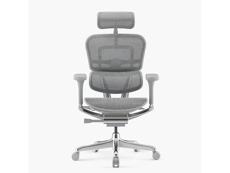 SILLA ERGOHUMAN ELITE 2 GRIS CLARO FORM 1