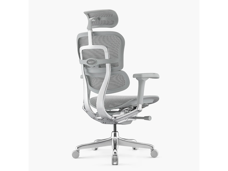 SILLA ERGOHUMAN ELITE 2 GRIS CLARO FORM 4