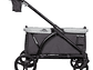 CARRO PASEO WAGON Y COCHE DOBLE MUV LIBERTY MIDNIGHT 2 EN 1 - Miniatura 2