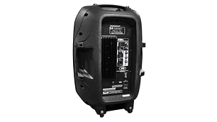 PARLANTE POTENCIADO PBK-15P PEAVEY