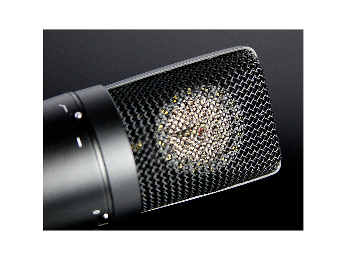 MICROFONO CONDENSADOR TASCAM TM-180 3