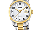 RELOJ FESTINA MUJER F20027/1 SWISS PLATEADO ACERO CLASICO - Miniatura 1
