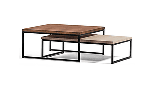 MESA DE CENTRO MEDULAR DUO WOOD