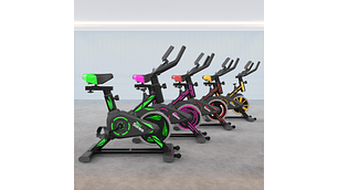 BICICLETA SPINNING CAPACIDAD 100 KG SBP40 TEN SERIES