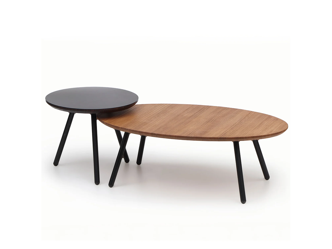 MESA CENTRO MEDULAR AULA NOGAL 1