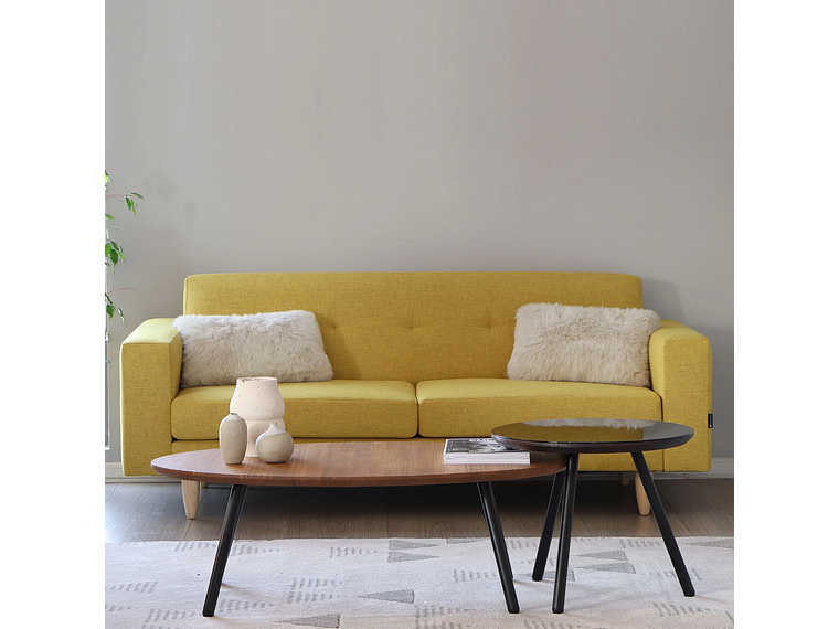 MESA CENTRO MEDULAR AULA NOGAL 3